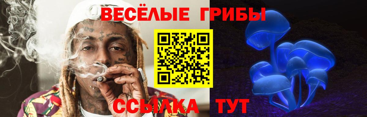 как найти   Вход с VPN  Семёнов  Псилоцибиновые грибы Cubensis 